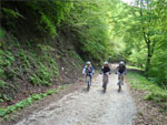 gal/2010/04 - Nel Parco delle foreste Casentinesi - 22 Maggio/04_lama_cancellino/_thb_11_sulla-via-del-ritorno.jpg